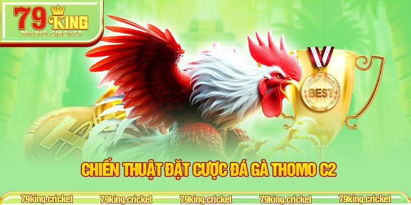 Chiến thuật đặt cược đá gà Thomo C2