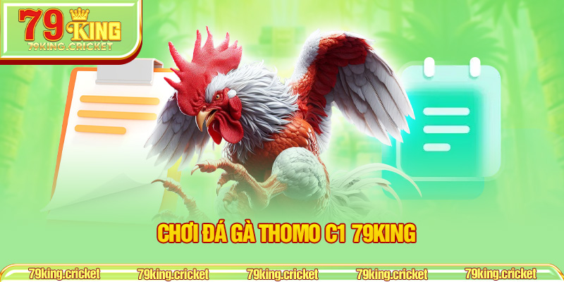 Chơi đá gà Thomo C1 79KING 