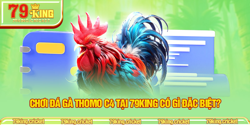 Chơi đá gà Thomo C4 tại 79KING có gì đặc biệt?