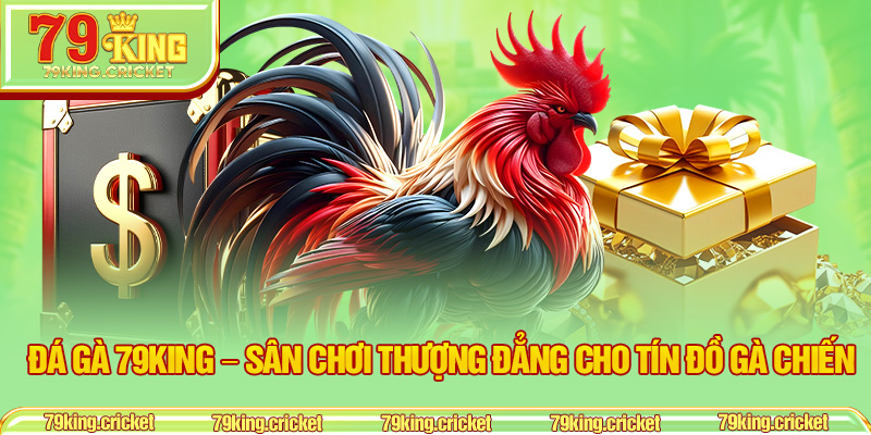 Đá Gà 79KING – Sân Chơi Thượng Đẳng Cho Tín Đồ Gà Chiến