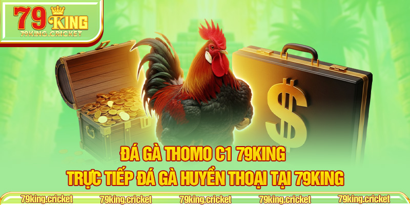 Đá Gà Thomo C1 79KING – Trực Tiếp Đá Gà Huyền Thoại Tại 79KING