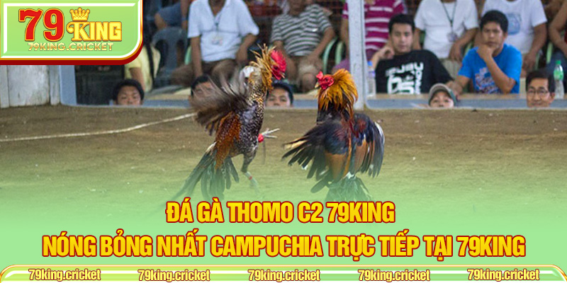Đá Gà Thomo C2 79KING – Nóng Bỏng Nhất Campuchia Trực Tiếp Tại 79KING