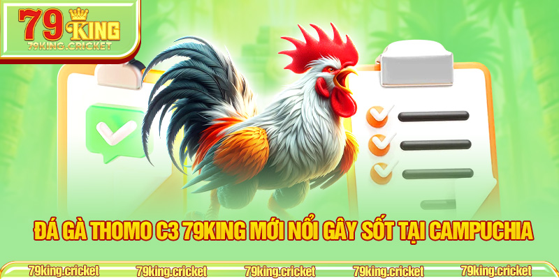 Đá Gà Thomo C3 79KING Mới Nổi Gây Sốt Tại Campuchia