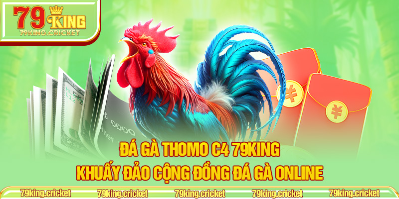 Đá Gà Thomo C4 79KING – Khuấy Đảo Cộng Đồng Đá Gà Online