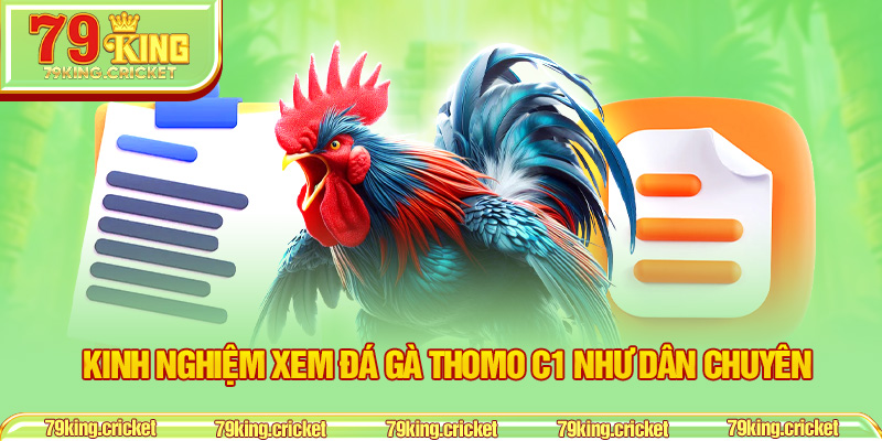 Kinh nghiệm xem đá gà Thomo C1 như dân chuyên