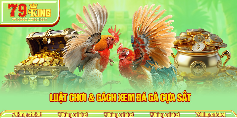 Luật chơi & cách xem đá gà cựa sắt