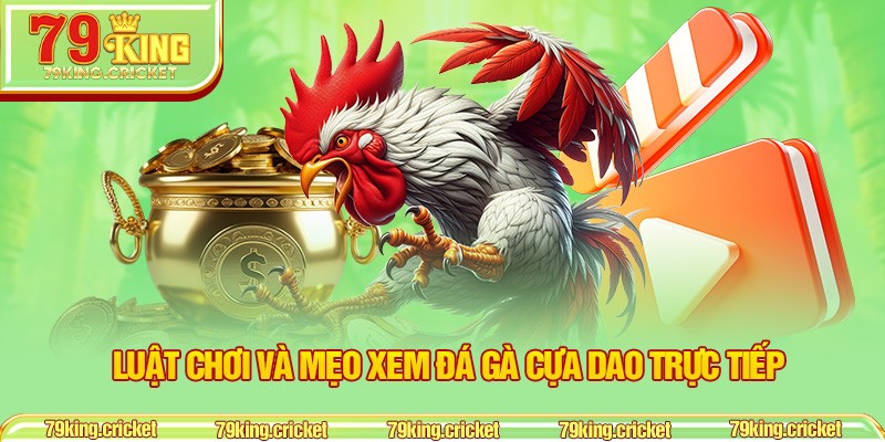 Luật chơi và mẹo xem đá gà cựa dao trực tiếp