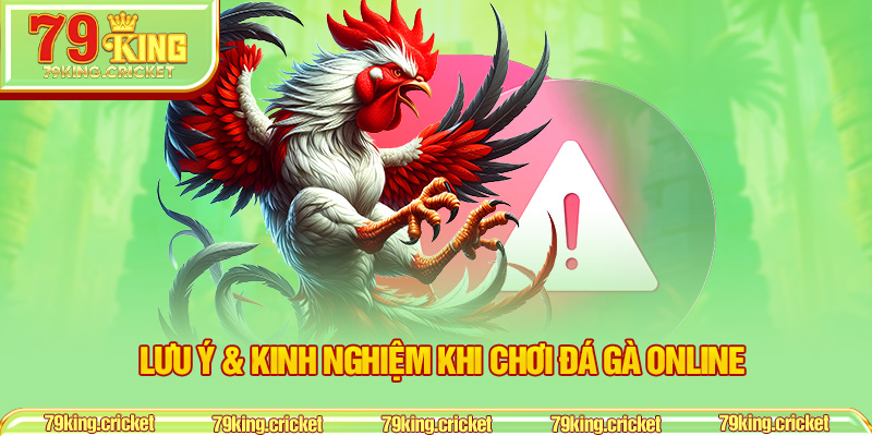 Lưu ý & kinh nghiệm khi chơi đá gà online
