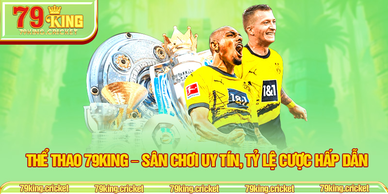Thể Thao 79KING – Sân Chơi Uy Tín, Tỷ Lệ Cược Hấp Dẫn