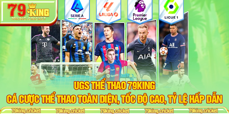 UGS Thể Thao 79KING – Cá Cược Thể Thao Toàn Diện, Tốc Độ Cao, Tỷ Lệ Hấp Dẫn